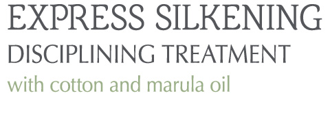 pro-line_Screen Express Silkening Logo