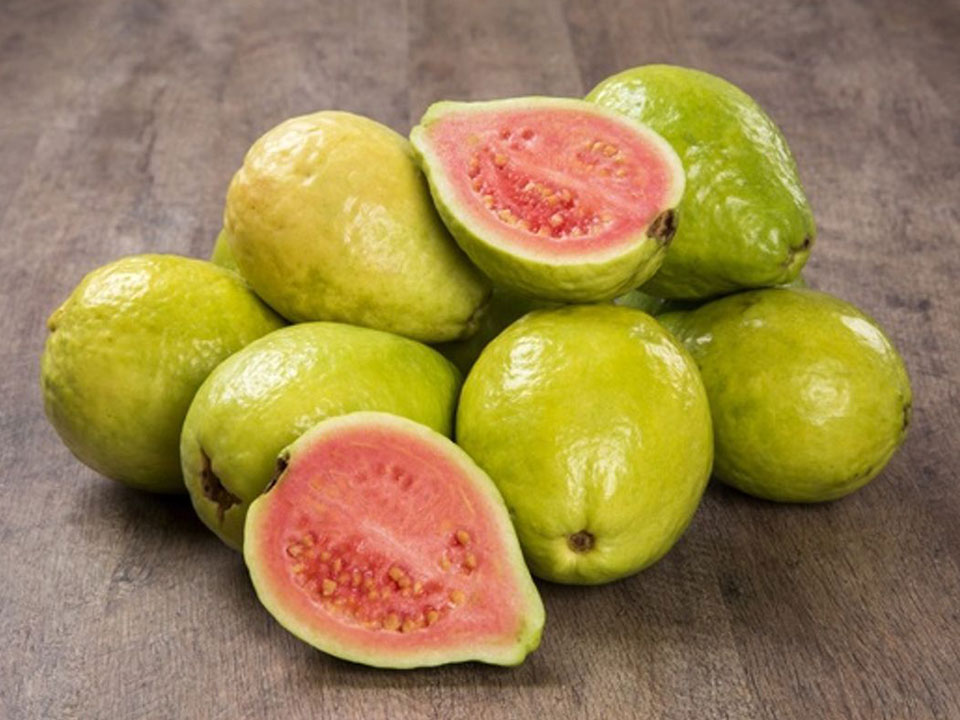 guava-2